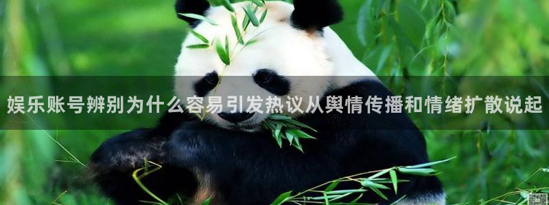 黑料爆料网站：娱乐账号辨别为什么容易引发热议从舆情传播和情绪扩散说起