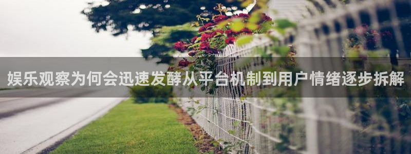 网络今日爆料：娱乐观察为何会迅速发酵从平台机制到用户情绪逐步拆解