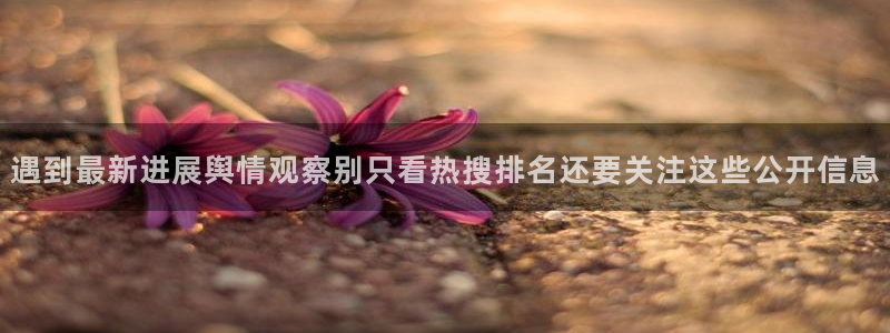 黑料爆料热点网：遇到最新进展舆情观察别只看热搜排名还要关注这些公开信息
