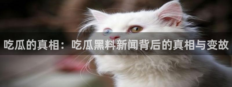 热门资讯动态：吃瓜的真相：吃瓜黑料新闻背后的真相与变故