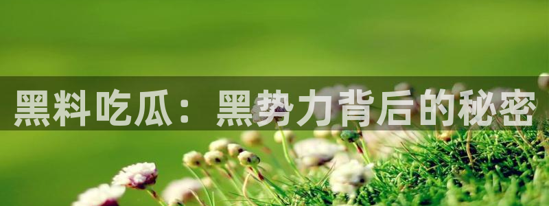 黑料爆料资讯：黑料吃瓜：黑势力背后的秘密