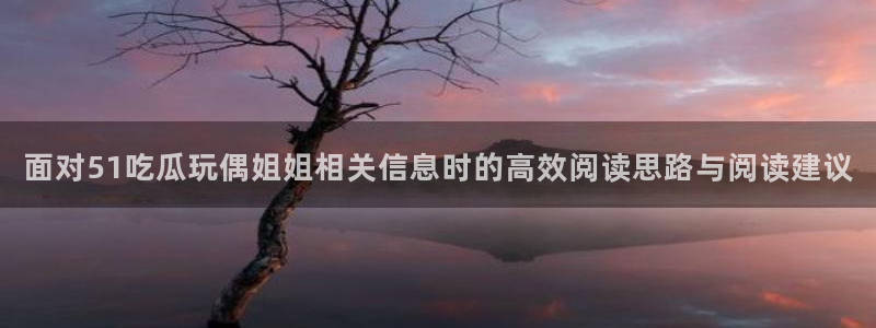 网络热门资讯：面对51吃瓜玩偶姐姐相关信息时的高效阅读思路与阅读建议